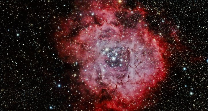Lördag 2 september – läs dagens horoskop
